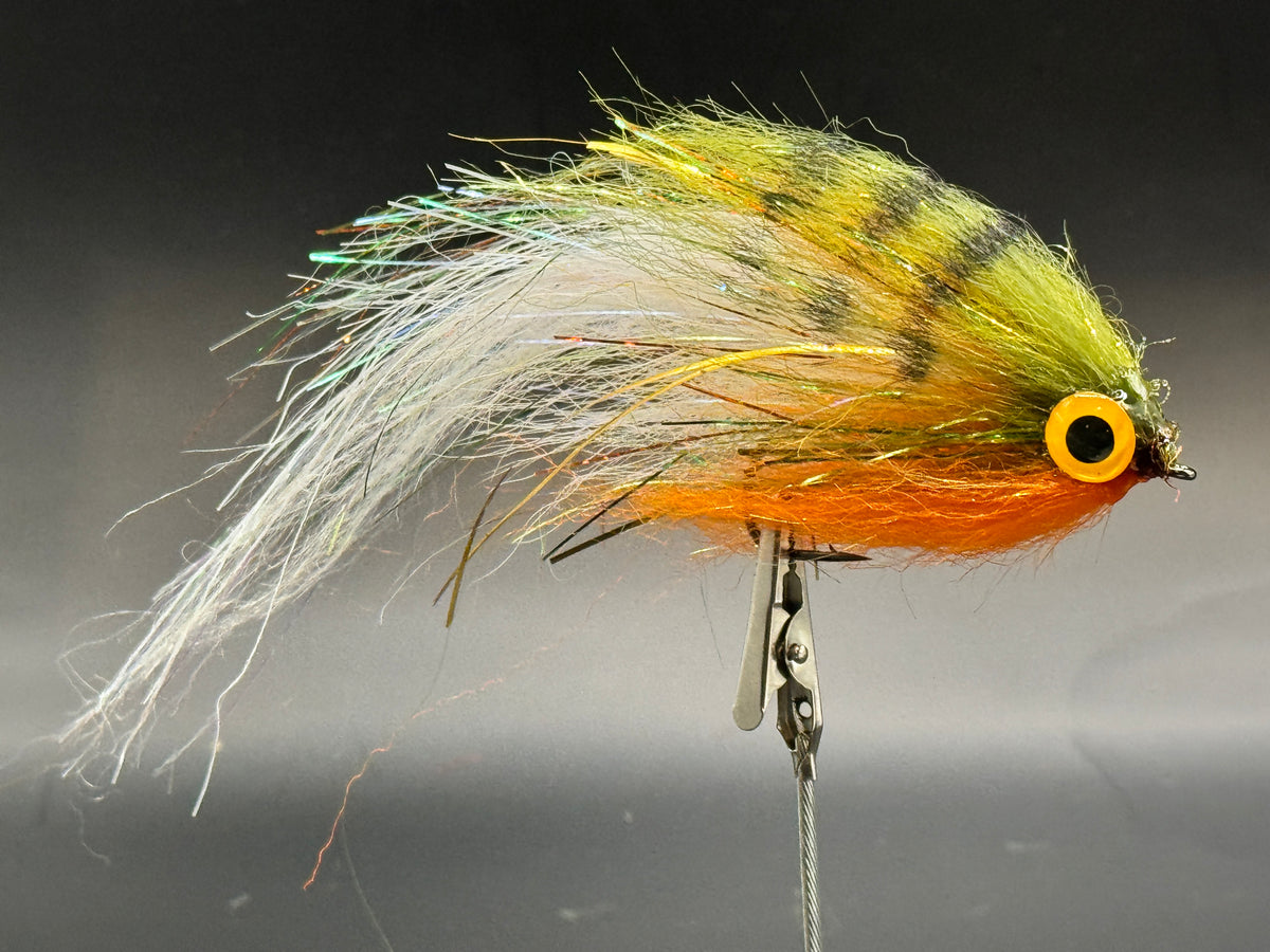 Darter Perch