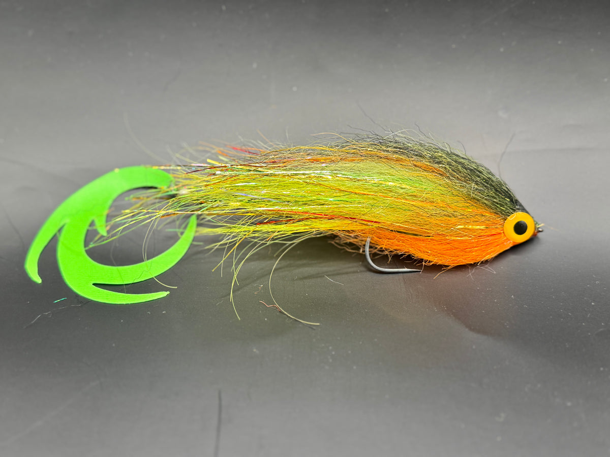 Dragontail Darter Fire tiger