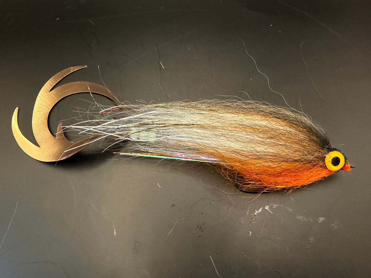 Dragontail Hover Darter Dark Roach