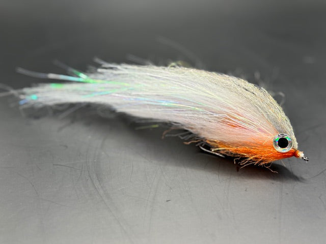 Darter