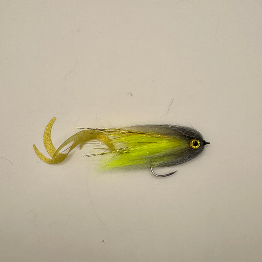 DTD006