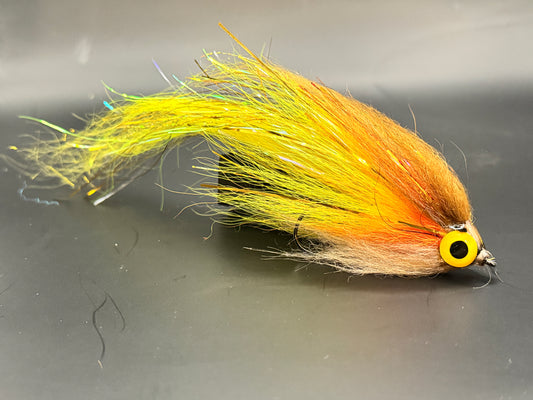 Darter Brown Yellow