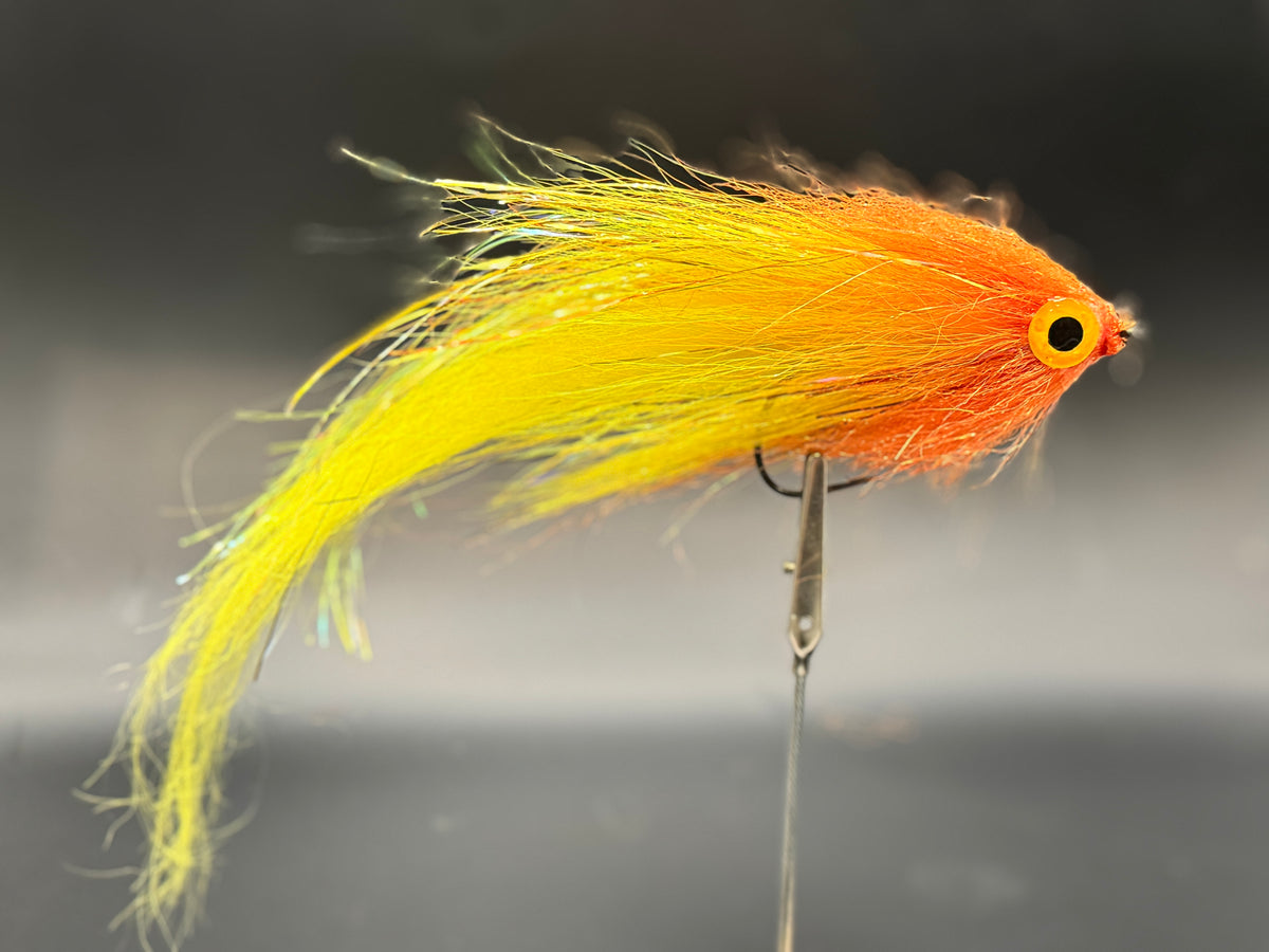 Darter Orange Yellow
