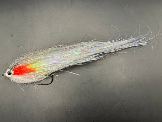 Darter Bleeding Roach