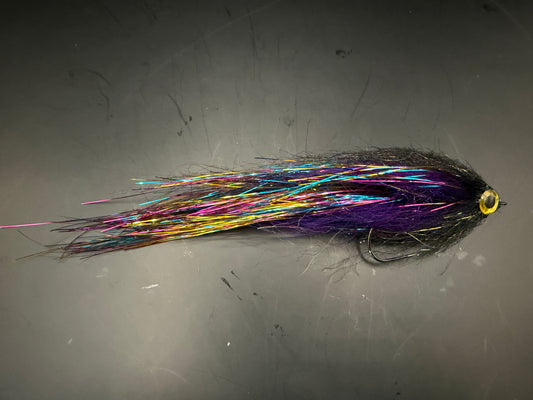 Flashtail Darter Purple and Black