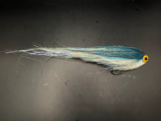 Darter Blue Roach