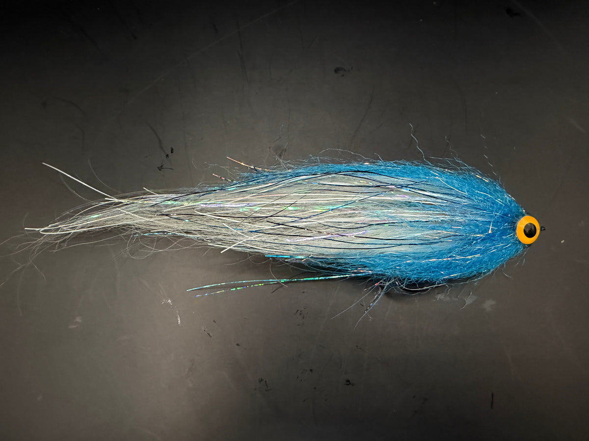 Darter Blue head