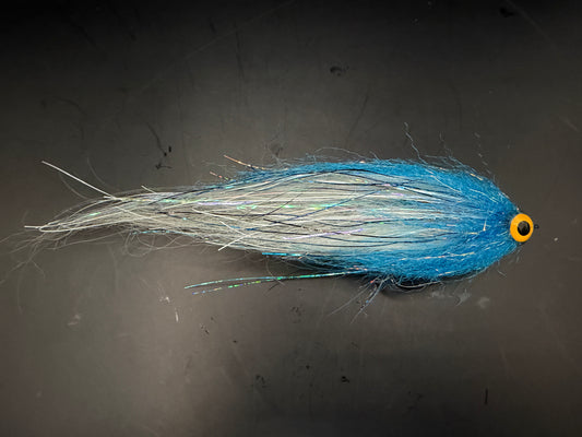 Darter Blue head